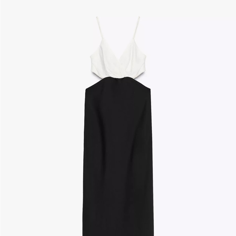 Zara Black and White Maxi Dress